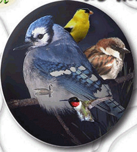 Petit oiseau